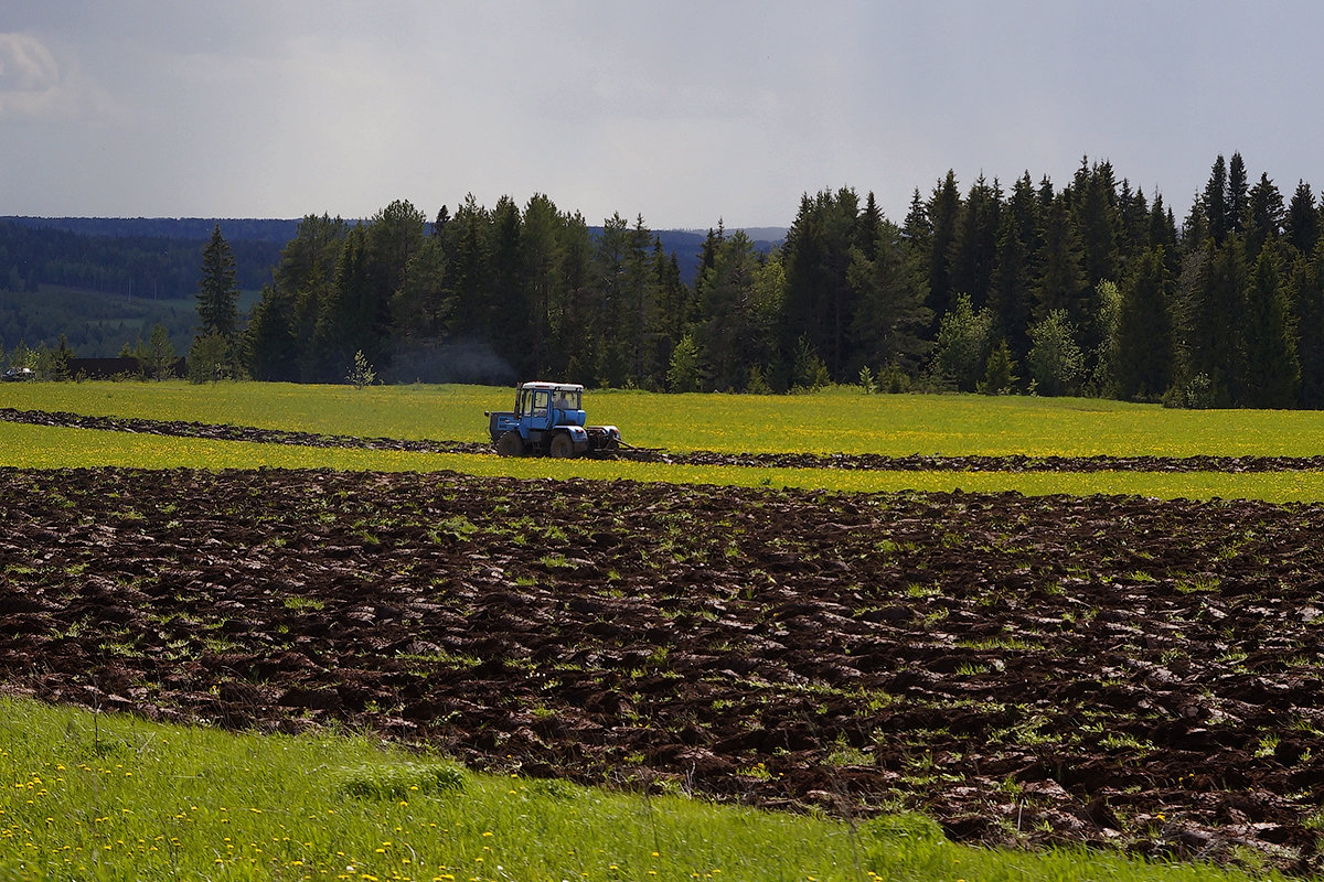 Экологические проблемы в сельскохозяйственном производстве и пути их решения