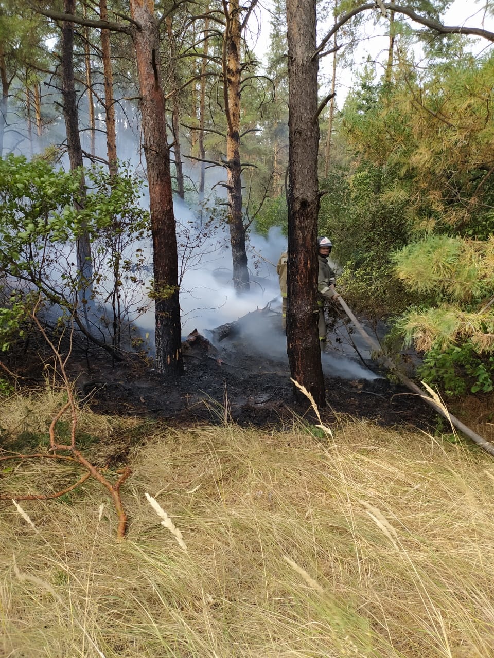 Пожар на землях лесного фонда в Тарасовском районе полностью ликвидирован.