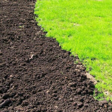 Новый нормативный документ по качеству почвы