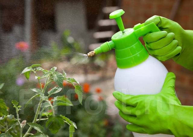 Обнаружение несоответствий массовой доли действующих веществ в пестицидных препаратах