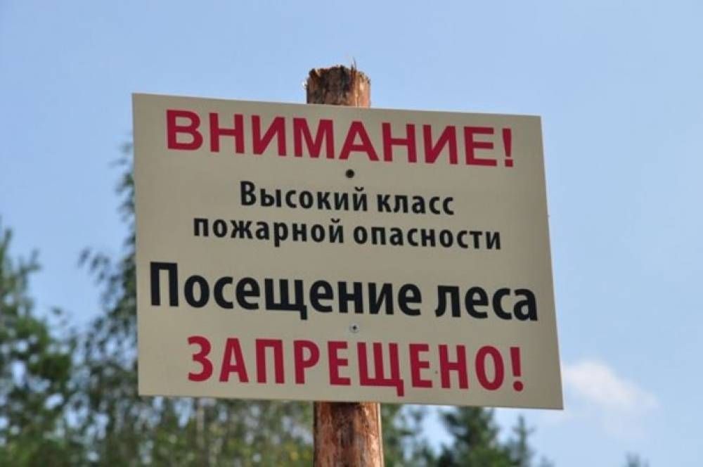 В Ростовской области продлён режим ограничения пребывания граждан в лесах