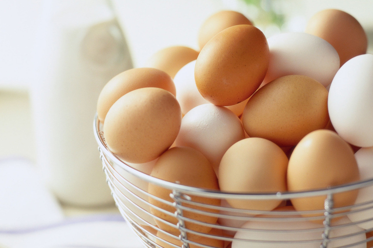 Какие есть категории яиц, и как их выбрать?