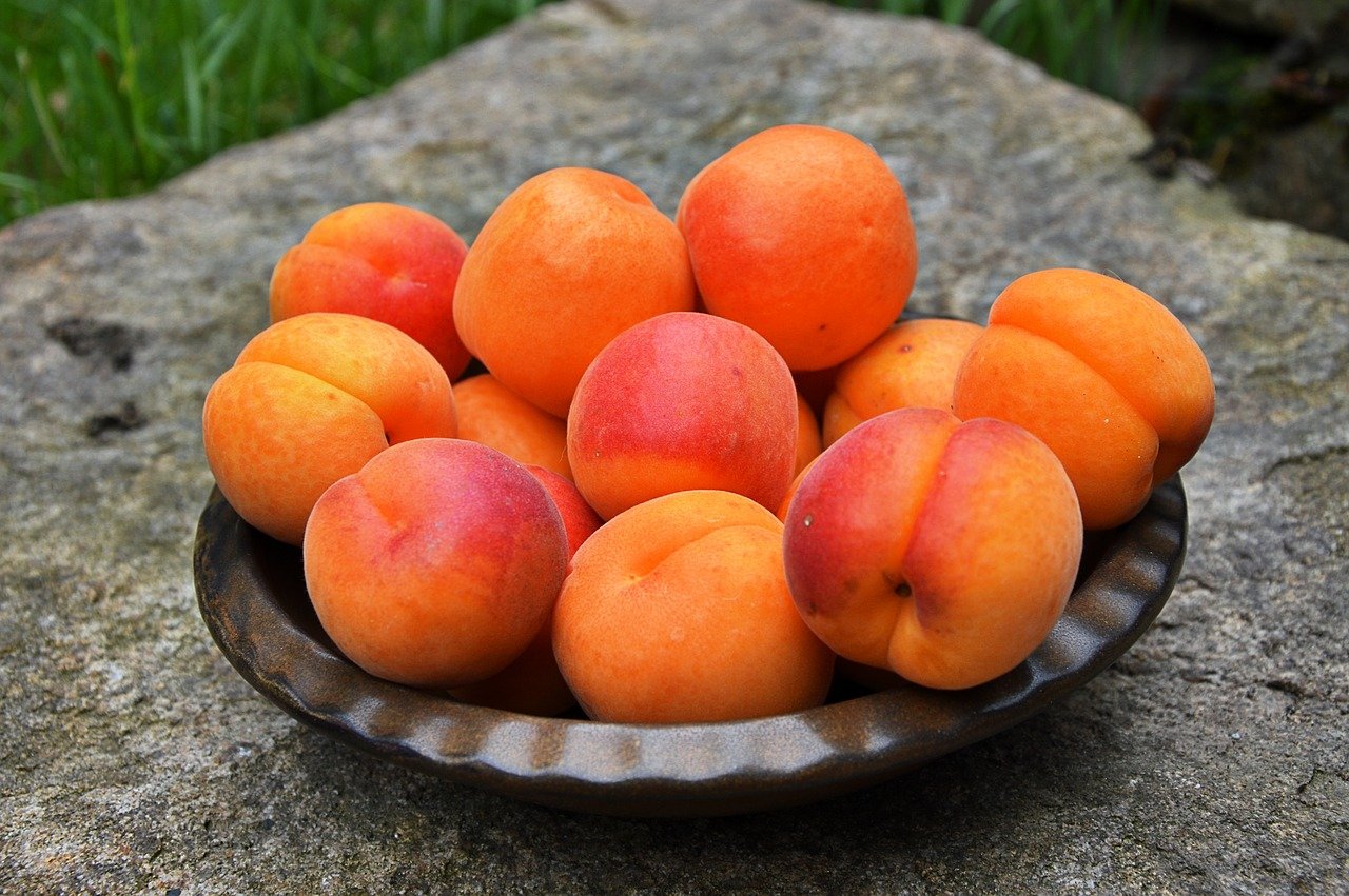 Ароматный летний фрукт – абрикос полезен для организма