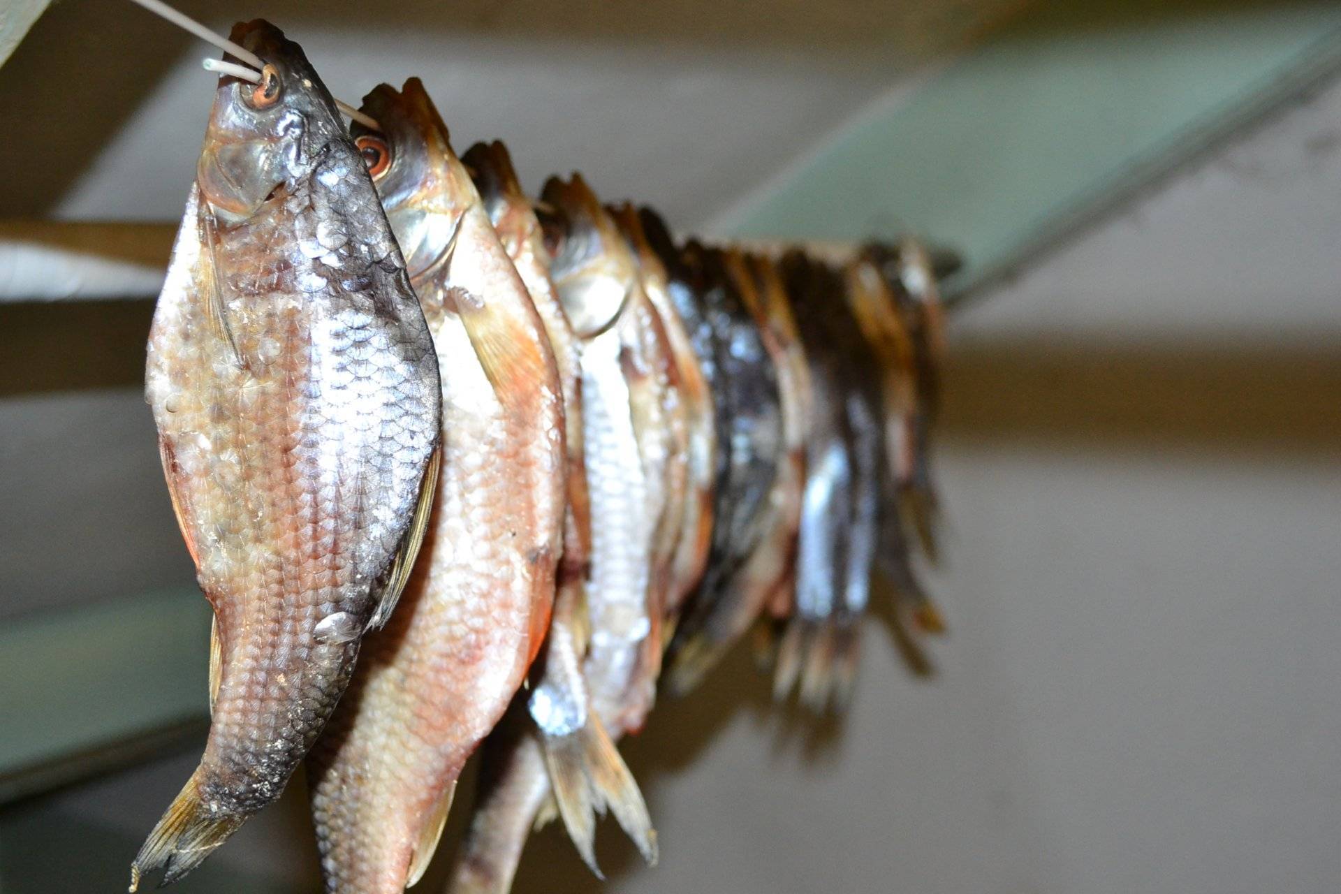 Польза и вред от вяленой рыбы
